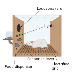 (출처: https://en.wikipedia.org/wiki/Operant_conditioning_chamber)
